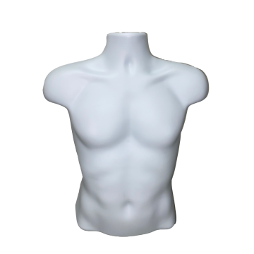 Male Torso Form-White